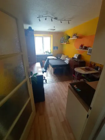 Pronájem bytu 1+kk, Brno, Mezírka, 25 m2