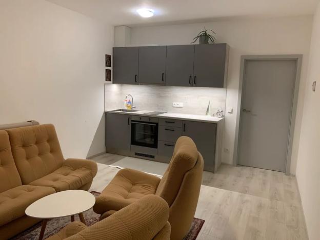 Pronájem bytu 1+kk, Olomouc, Wolkerova, 30 m2