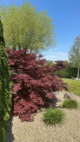 Prodej rodinného domu, Borek, 170 m2