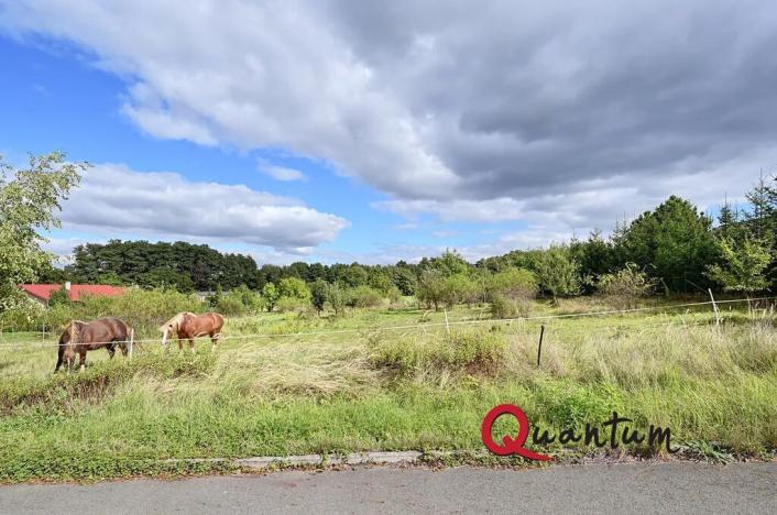 Prodej pozemku pro bydlení, Svinaře, Šípková, 1012 m2
