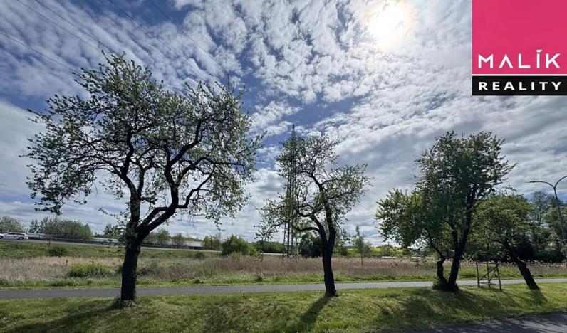 Prodej louky, Ostrov, Jáchymovská, 8734 m2