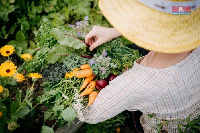 Prodej pozemku pro bydlení, Sušice, 4292 m2