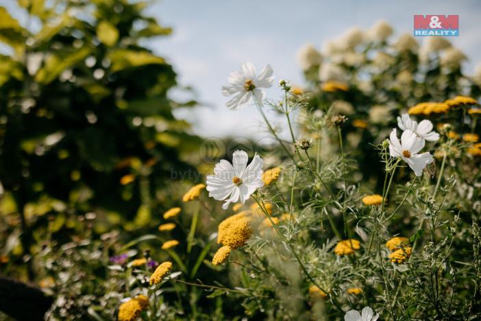 Prodej pozemku pro bydlení, Sušice, 4292 m2