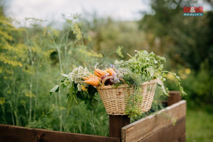 Prodej pozemku pro bydlení, Sušice, 4292 m2