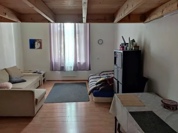 Pronájem bytu 1+kk, Praha - Vršovice, Orelská, 26 m2