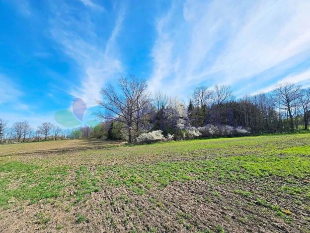 Prodej pozemku pro bydlení, Libníč, 6449 m2