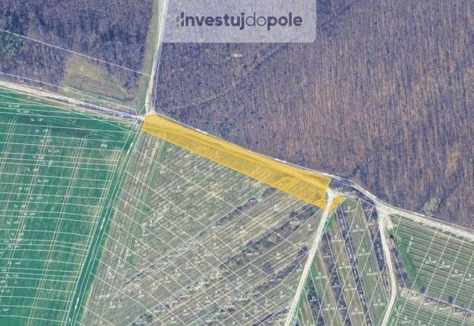 Prodej pozemku, Dambořice, 2843 m2