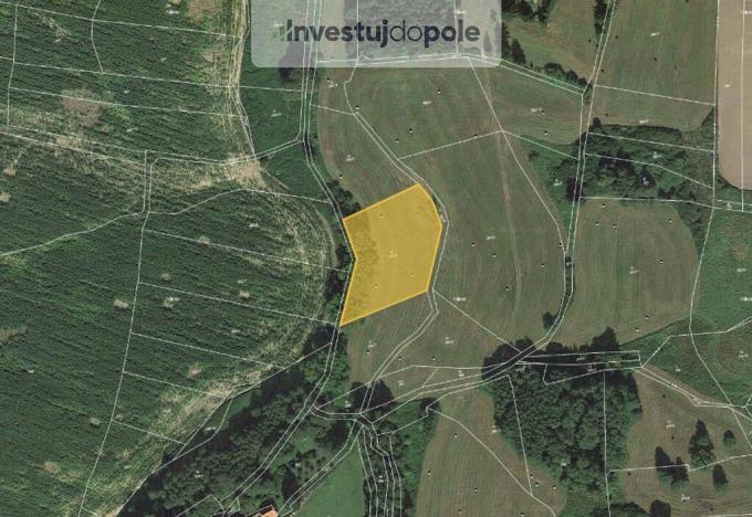 Prodej pole, Neurazy - Soběsuky, 4301 m2