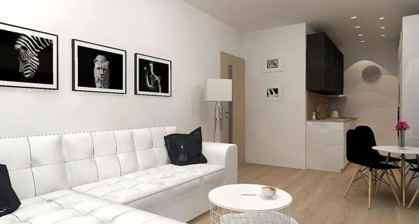Prodej bytu 2+kk, Praha - Žižkov, Kubelíkova, 37 m2