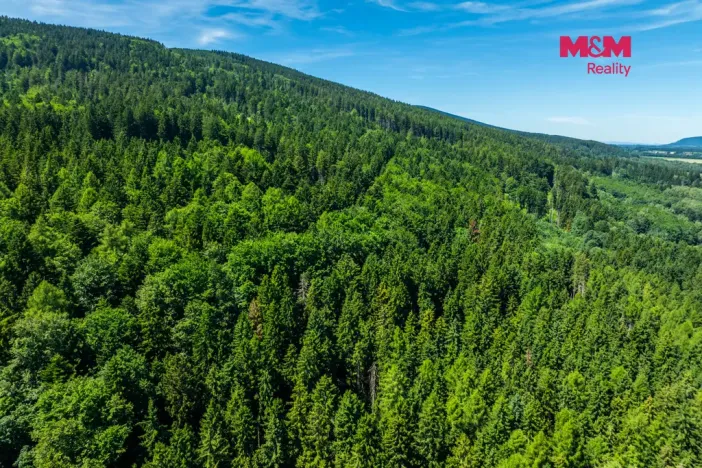 Prodej pozemku pro bydlení, Červená Voda, 1251 m2