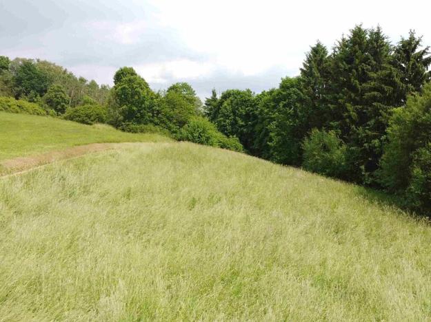 Dražba pozemku pro bydlení, Chotěvice, 1701 m2