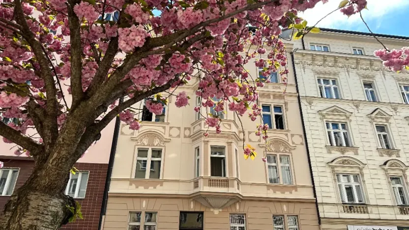 Pronájem bytu 2+1, Praha - Vinohrady, Přemyslovská, 78 m2