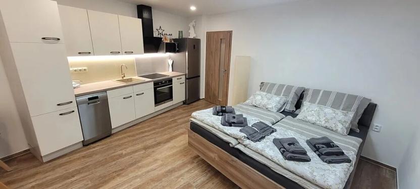 Pronájem bytu 1+kk, Luhačovice, Masarykova, 35 m2