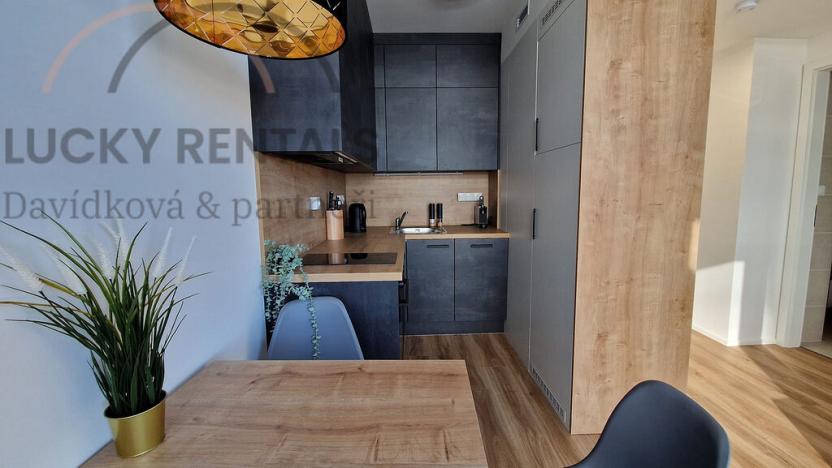 Pronájem bytu 2+kk, Praha - Smíchov, Plzeňská, 40 m2