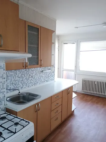 Pronájem bytu 1+1, Nový Jičín, Dlouhá, 48 m2