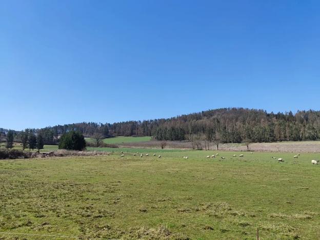 Prodej pozemku pro bydlení, Horažďovice, 1125 m2