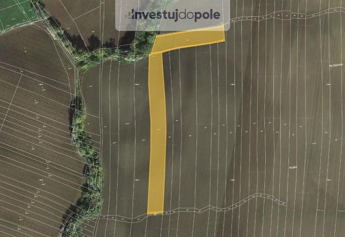 Prodej pole, Mutějovice, 2150 m2