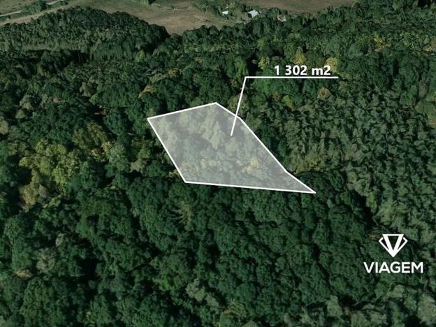 Prodej lesa, Loděnice, 1302 m2