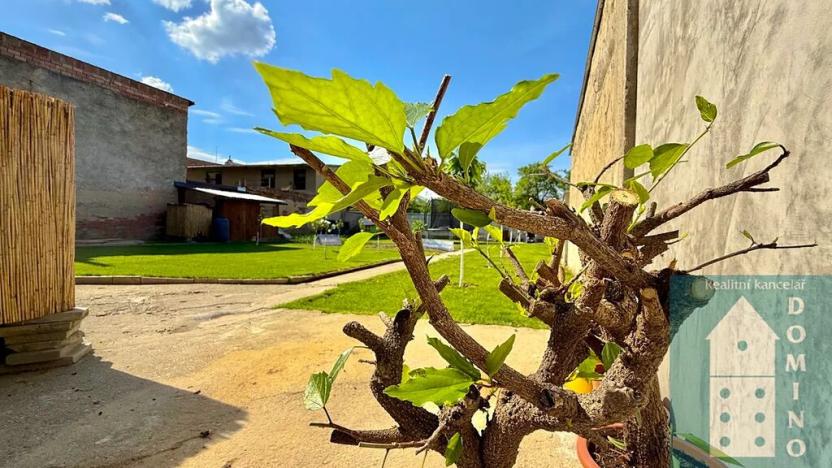 Prodej rodinného domu, Rataje, 205 m2