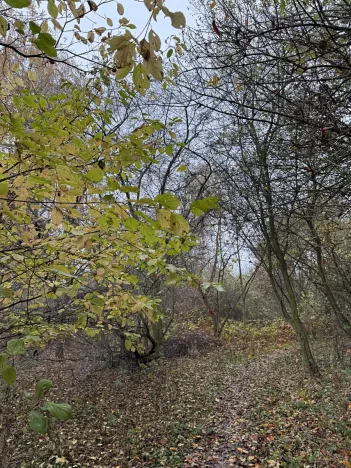 Prodej pozemku, Praha - Nové Město, 9174 m2