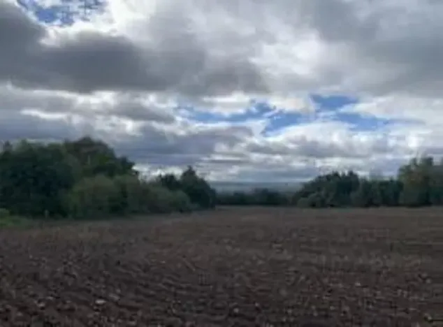 Dražba pole, Staňkovice, 1500 m2