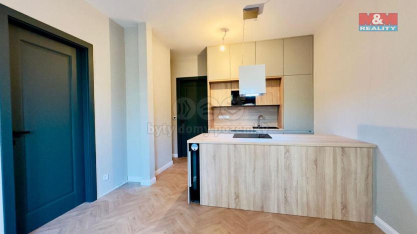 Pronájem bytu 2+kk, Opava - Předměstí, Riegrova, 54 m2