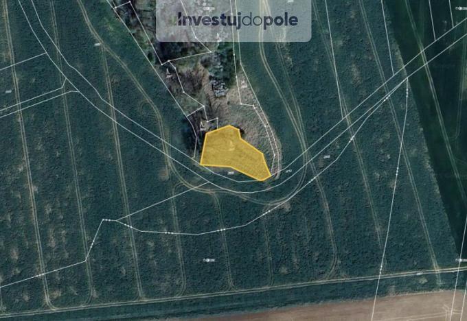 Prodej lesa, Ronov nad Doubravou, 1294 m2