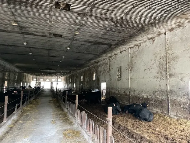 Prodej zemědělského objektu, Neurazy, 691 m2