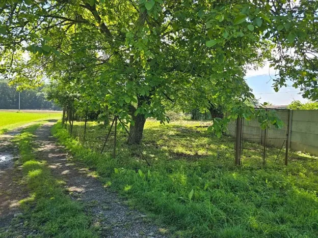 Prodej zahrady, Kroměříž, 5238 m2