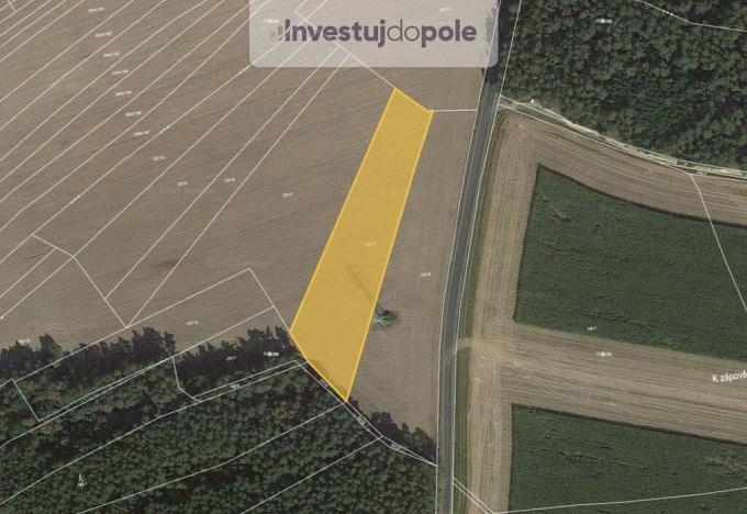 Prodej pole, Zruč-Senec - Zruč, 990 m2