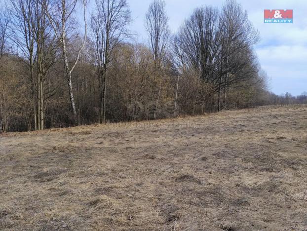 Prodej pozemku pro bydlení, Dolní Moravice, 1920 m2