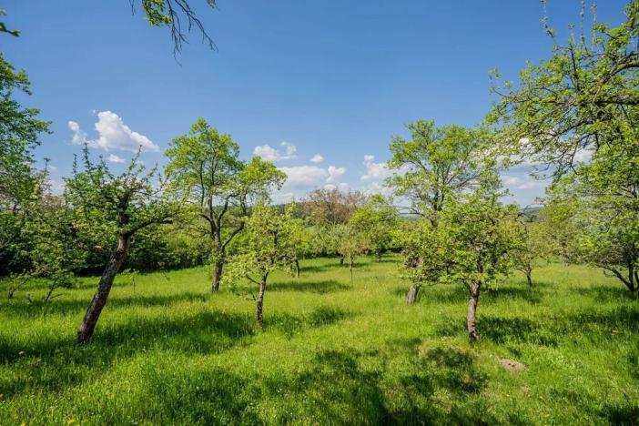 Prodej chalupy, Petrovice, 120 m2