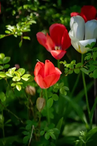 Prodej chalupy, Petrovice, 120 m2