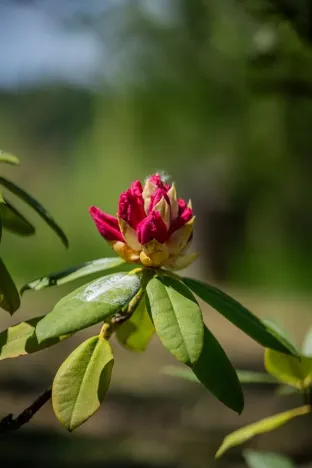 Prodej chalupy, Petrovice, 120 m2