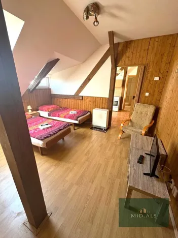 Pronájem bytu 1+1, Plzeň, Klostermannova, 50 m2