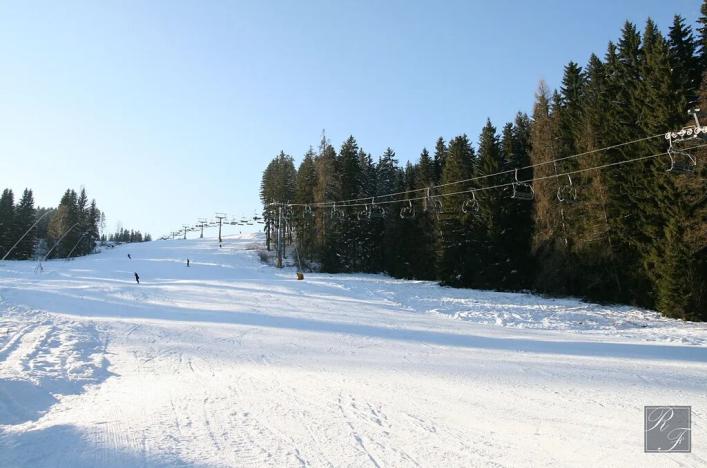 Prodej pozemku pro bydlení, Kraslice, Pod lesem, 630 m2