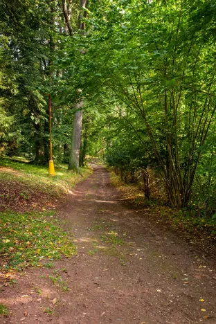 Prodej domu, Dolní Olešnice, 6264 m2