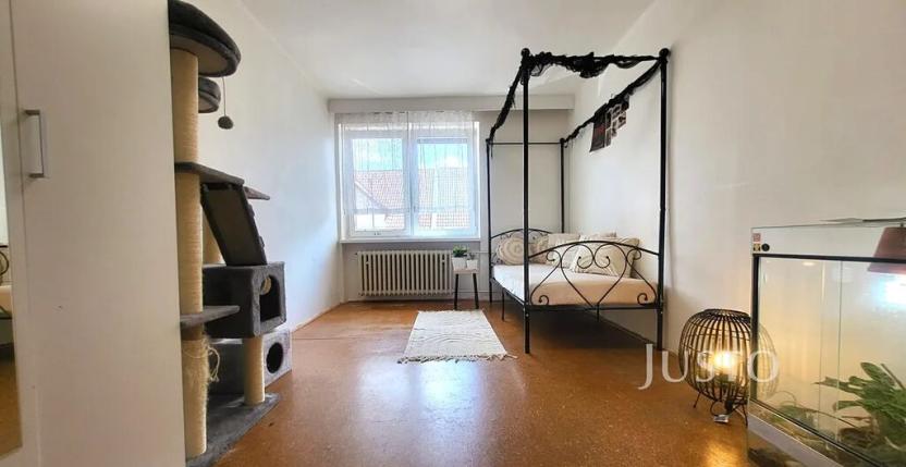 Prodej rodinného domu, Písek, Jeronýmova, 231 m2