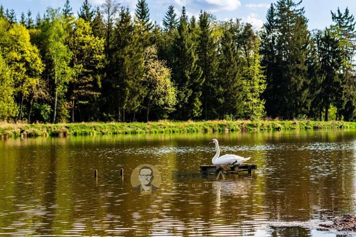 Prodej rybníku, Dlouhá Lhota, 35594 m2