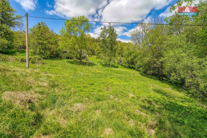 Prodej pozemku pro bydlení, Sušice - Nuzerov, 10400 m2