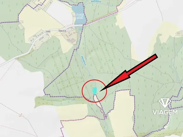 Prodej podílu lesa, Třebětín, 1638 m2