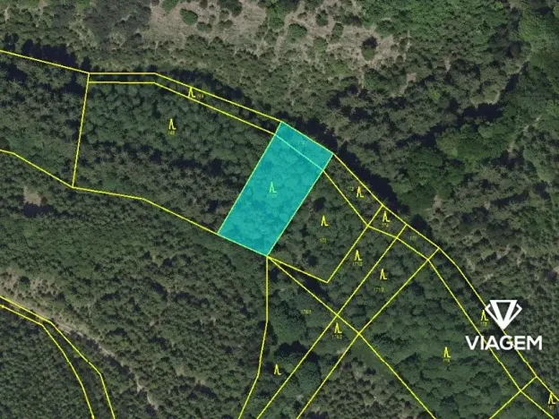 Prodej podílu lesa, Řendějov, 844 m2