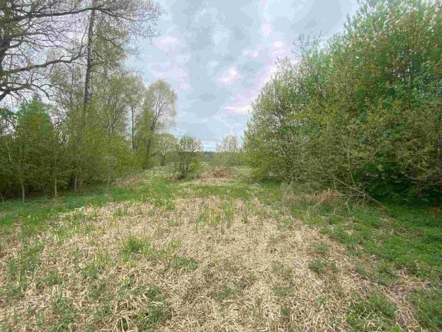 Prodej pozemku, Nová Bystřice - Blato, 969 m2