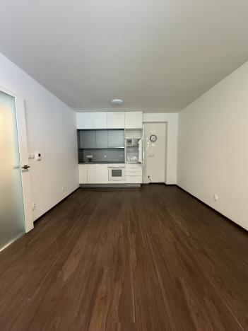 Pronájem bytu 1+kk, Písek - Budějovické Předměstí, Pod Horami, 34 m2