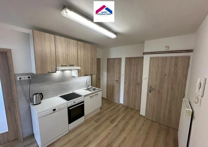 Pronájem bytu 2+1, Brno, Sládkova, 56 m2