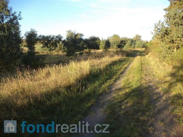 Prodej pole, Chrášťany, 2442 m2