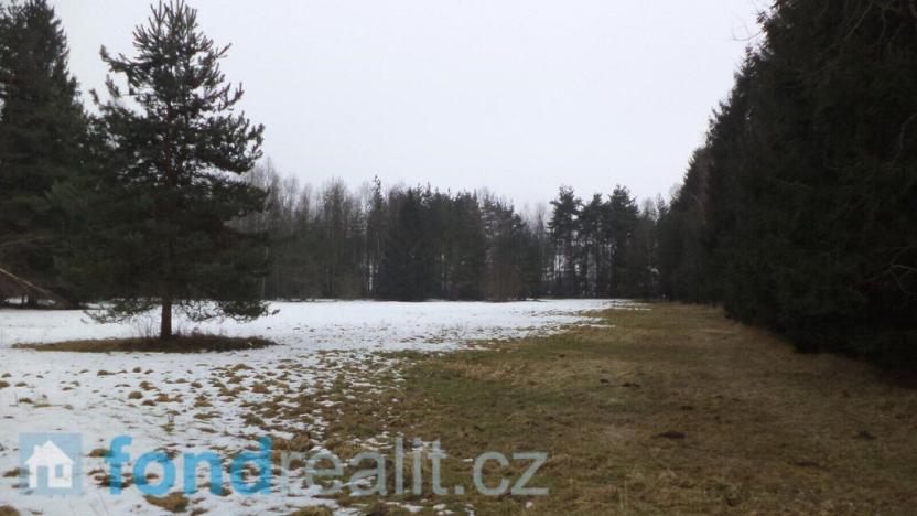 Prodej pozemku, Nová Bystřice - Blato, 19660 m2