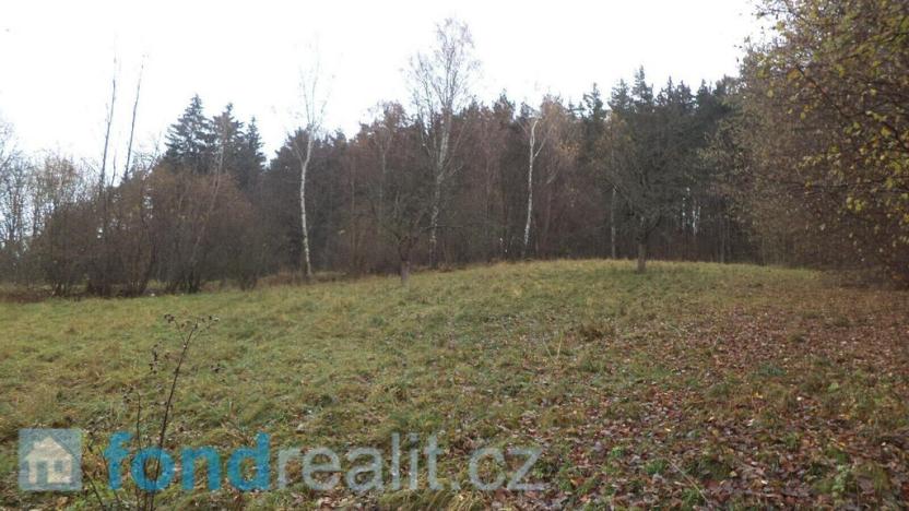 Prodej pole, Zdíkov - Branišov, 10244 m2