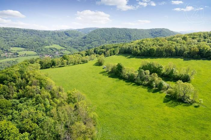 Prodej louky, Děčín, 19126 m2