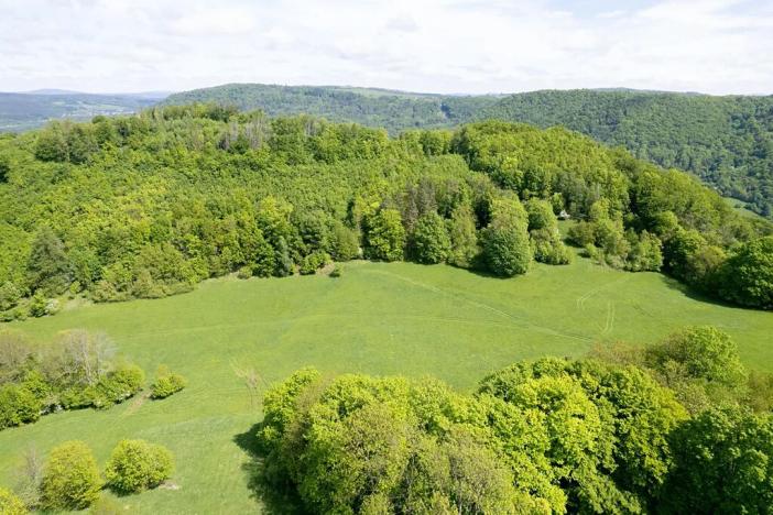 Prodej louky, Děčín, 22595 m2